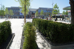Der Immergrüne Garten verleiht dem Freiheitsplatz Farbe und lädt zum Verweilen ein 