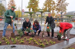 Setzten die ersten von 390 Hanau-Rosen ein: Martin Löwer (ganz links), Stadtrat Andreas Kowol (Zweiter von rechts) sowie vom Eigenbetrieb HIS Annerose Lösche, Stefanie Haub und Hauke Wessels (von rechts). 